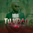 Amini - Tujidai