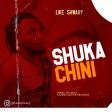 LIKE SHWARY - SHUKA CHINI