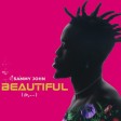 Sammy John - Beautiful