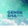 g nako ft mr t touch - gengesha