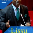 MR SLOW - LISSU