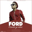ford - mambo ya ndani