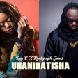 ray c x khaligraph jones - unanidatisha