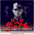 Msaga Sumu ft Chemical - R.I.P Seth