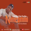 Andande G Ft. Tin Bizo - NIMEAMINI