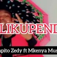 Nilikupenda _ Papito Zedy Ft Mkenya Music ( Official music video ) (NILIKUPENDA)_160K).mp3