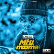Chege - Mtu Mzima
