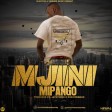 Tamimu - Mjini Mipango