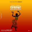 Twizy Dady - Sebene