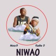 Meza B x Radha D - NIWAO