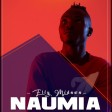 elly midawa - naumia