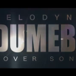 Rema Dumebi Cover By Melodyne