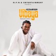 Kiziwanda - Vibaya