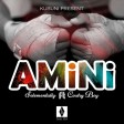 selementally ft country boy  - amini