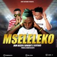 Don Bizzo Ft. Bright  Rayako - Mseleleko