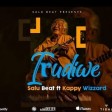 Salu beat & kappy Wizzard - IRUDIWE (1)