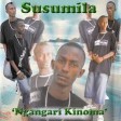 susumila-gangari