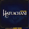 Hatuachani - Lava Lava (Official Audio