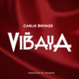 Carlie Bronz - Vibaya