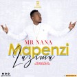 mr nana - mapenzi lazima