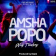Nay Wa Mitego (Mr Nay) - Amsha Popo