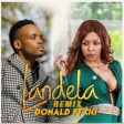 donald ft cici - landela remix