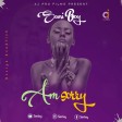 SANI BOY - AM SORRY
