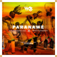 harmonize x rayvanny - paranawe