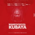 Stamina x Tannah x Chemical x A.B.A x Clicker x Nacha x Coyo Mc - WAMECHOKOZA KUBAYA