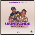 A-Lyne Ft. Wana Misosi - USINIPANDE