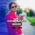 chin bees - inogire
