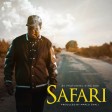 ay ft king kiki - safari