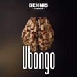 Dennis Trainer - Ubongo