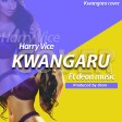 harryvice ft deonmusic  - kwangwaru over prod by deonmusic