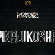 Harmonize - Anajikosha