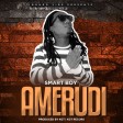 Smart Boy - Amerudi