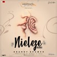 brandy bramer - nieleze