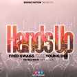 fred swagg ft young dee - hands up