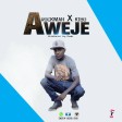 RockMan X KIBO - AWEJE