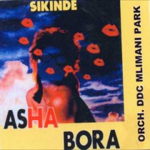 DDC MLIMANI PARK - msafiri kafiri