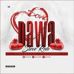 Steve RNB - Dawa